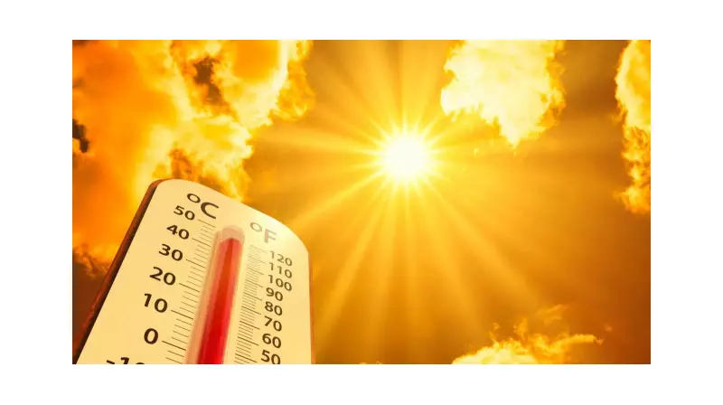 Türkiye'yi Kavuracak Sıcaklar Geliyor! 5 İlde 45 Derece ile Rekor Sıcaklık Uyarısı
