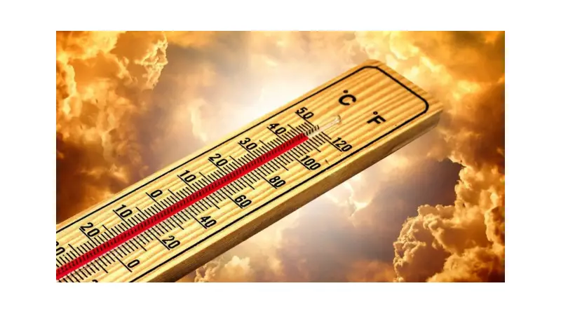 Türkiye'yi Kavuran Sıcak Dalgası: 24 İlde Termometreler 40 Dereceyi Aştı!