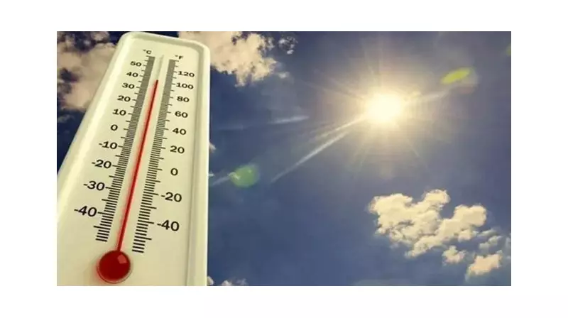 Türkiye'yi Kavuran Sıcaklar: 10 İlde Termometreler 40 Dereceyi Aştı!