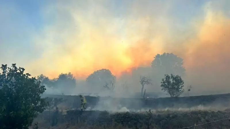 Uşak, İzmir, Antalya ve Osmaniye'de Çıkan Yangınlar: Can Kaybı ve Büyük Maddi Zarar!