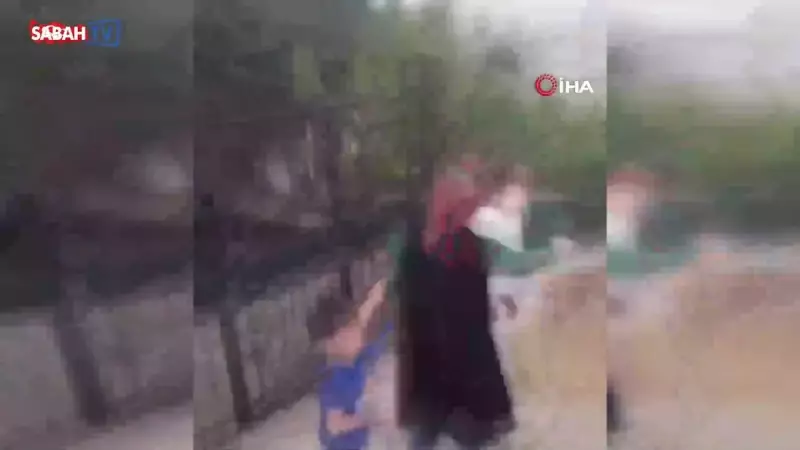 Veteriner ve Ailesine Sokak Köpeklerini Beslediği İçin Dayak İddiası: Şok Eden Görüntüler!