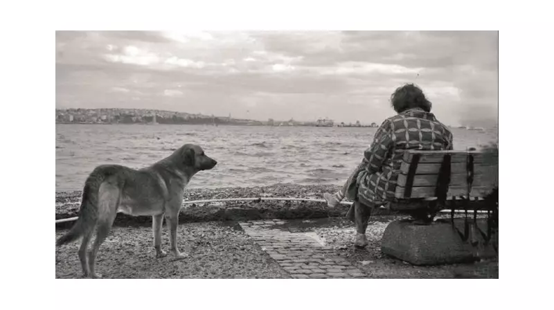 Yalnızlık Büyümeye Engel Mi? İşte Sosyal Bağların Gelişimdeki Kritik Rolü!