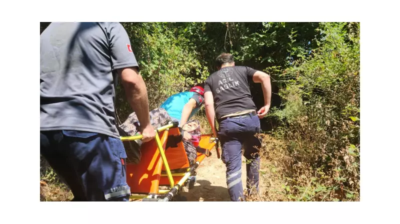 Yalova'da Ormanlık Alanda Aniden Rahatsızlanan Kadın, Zorlu Kurtarma Operasyonu Sonrası Hastaneye Ulaştırıldı!