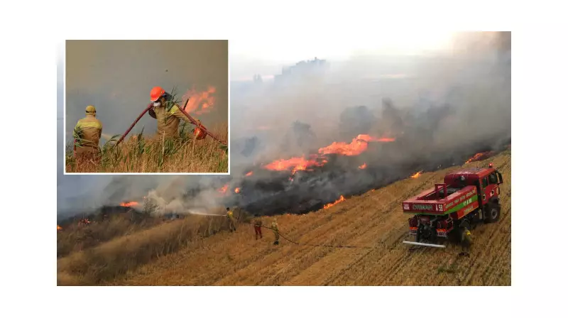 Yangın Alarmı: Orman Dışı Alanlarda Alevler Kontrolden Çıkıyor!