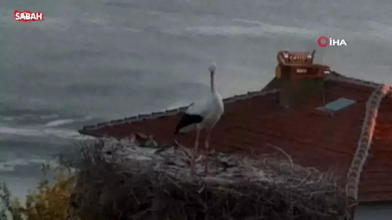 Yaren Leylek'in Deprem Anında Yaşadığı Şaşırtıcı Tepkiler Kameralara Yansıdı!