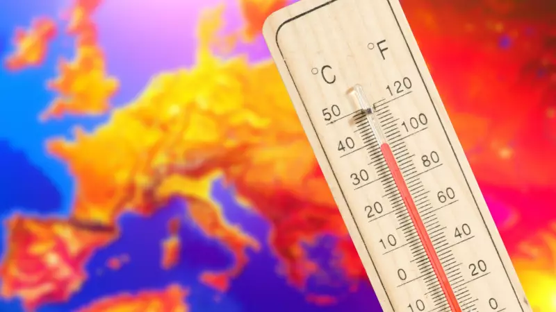 Yaz Sıcaklarında Besin Zehirlenmesi Kapınızı Çalabilir! İşte Hayat Kurtaran 18 Altın Kural