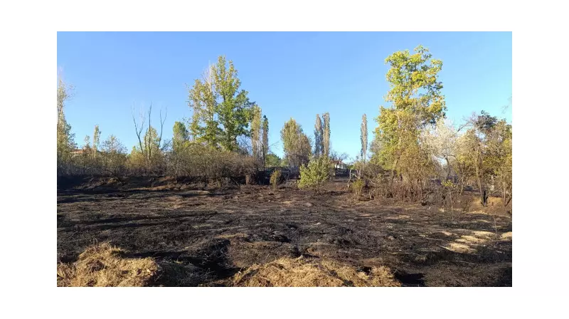 Yozgat'ta Çıkan Ot Yangınında Cesur Kadın Yaralandı: Evini Kurtarmaya Çalışırken Başına Gelenler!