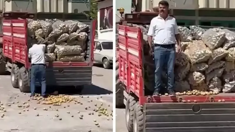 Yozgat'ta Patates İsrafına Göz Açtırmadılar: İnceleme Başlatıldı, Ağır Ceza Kesilecek!