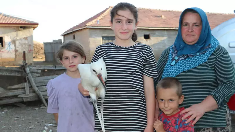 Yozgat'ta Yaralı Leyleğe Umut Eli: Bir Ailenin Dokunuşuyla Hayata Tutundu!