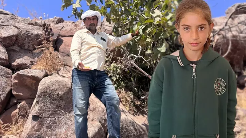 Zeynep Su'nun Acı Dolu Sonu: Babası İlk Kez Konuştu! 'Kan İzleri Gördüm, 2 Taşın Arasındaydı'