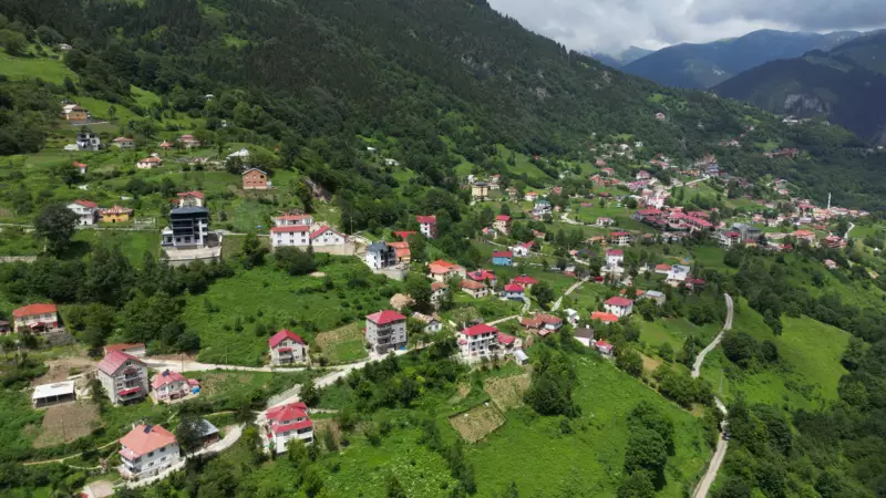 Zigana Geçidi Hakkında Bilmeniz Gerekenler: Doğa Harikasının Sırları