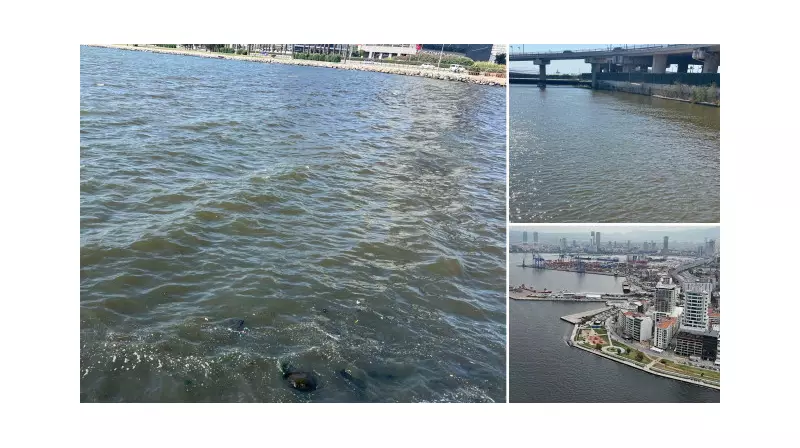 İzmir Körfezi'nde Dayanılmaz Koku Krizi: Vatandaşlar İsyan Etti!