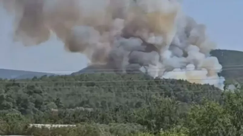 İzmir Menderes'te Orman Yangını: Alevler Rüzgarla Yayılıyor!