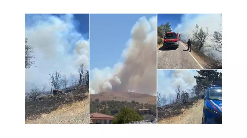 İzmir'de Orman Yangını: Alevlere Havadan ve Karadan Müdahale! Tüm Ekipler Seferber