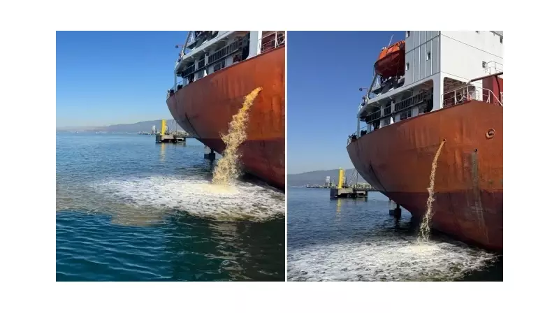 İzmit Körfezi'nde Çevre Felaketi: Kirleten Gemiye Hukuki Operasyon Başlatıldı!
