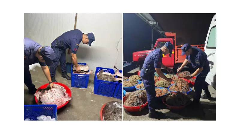Zonguldak'ta Kaçak Avcılık Operasyonu: 114 Kalkan Balığı Ele Geçirildi!