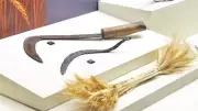 Binlerce Yıllık Tarihe Yolculuk: 'Orağın Serüveni' Sergisiyle Zamanda Yolculuk!
