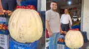 Devasa Bal Kabağı Şaşırttı: Tam 85 Kilo!