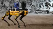 Hong Kong'da Robot Köpekler Devreye Giriyor: Chikungunya Virüsüne Karşı Teknolojik Çözüm!