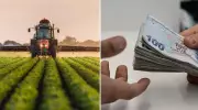 Çiftçilere Müjde! Bugün 1,163 Milyon TL Tarımsal Destek Ödemesi Yapılıyor