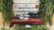 Malatya'da Uyuşturucu Tacirlerine Büyük Darbe: Operasyonda Bir Gözaltı!