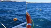 İstanbul Boğazı'nda Hayatını Kaybetmek Üzereyken Son Anda Kurtarıldı! Vapur Yolcularından İnanılmaz Tepki
