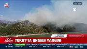 Tokat'ta Orman Yangını: Alevler Gökyüzünü Kızıla Boyadı!