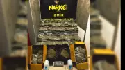 İzmir'de Dev Narko-Terör Operasyonu: 127 Kilo Bonzai ile 6 Gözaltı!