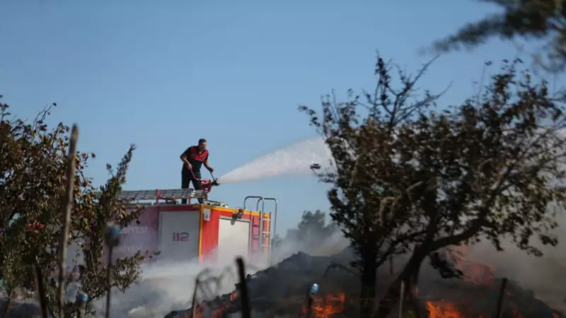 Üç İlde Alevlerle Dans: Muğla, Antalya ve Mersin'de Orman Yangınları!