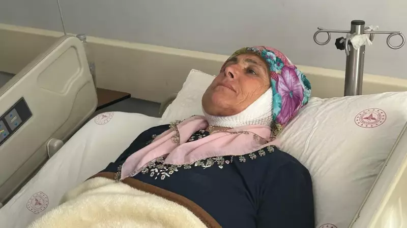 15 Yıl Sonra Yeniden Gülümseyecek! Doğuştan Çene Eksikliğiyle Mücadele Eden Gencin Umut Dolu Hikayesi