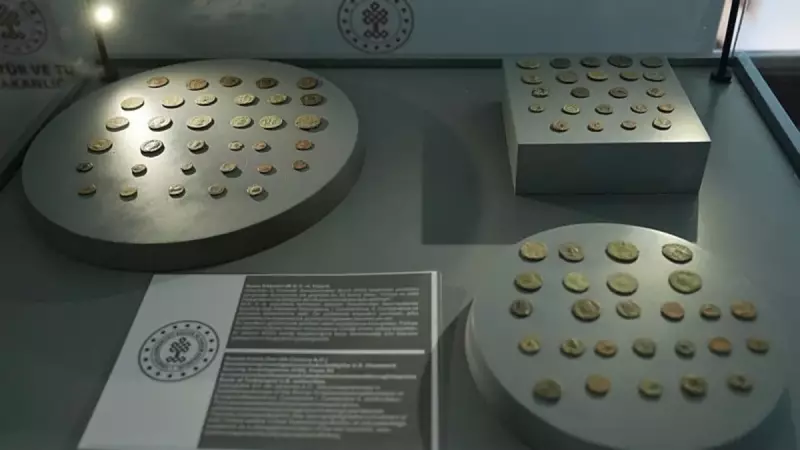 1700 Yıllık Tarihi Sikkeler, Topraklarına Dönüş Yaptı! İşte Muhteşem Keşfin Hikayesi