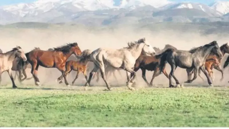 7/24 Yaşayan Şehirler Geliyor: Türkiye'nin Gece Gündüz Canlı Noktaları!