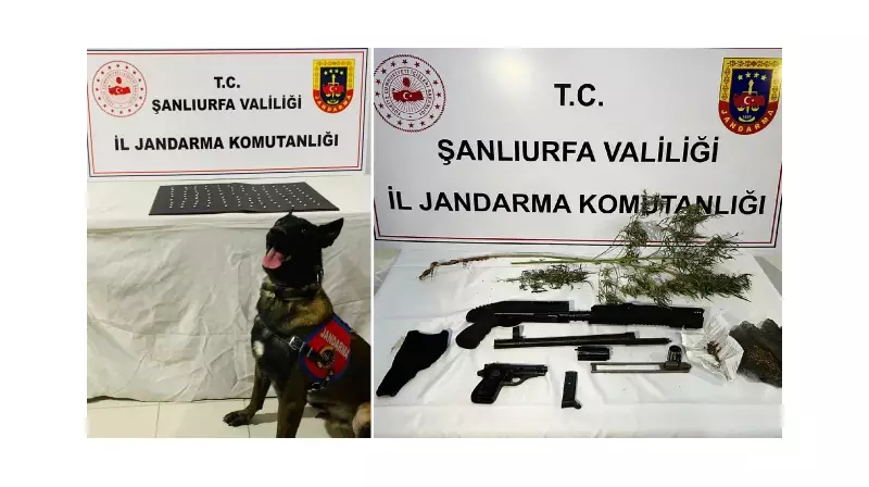 Adana'da Karanlık Operasyon: Uyuşturucu ve Silah Kaçakçılığı Çetesine Büyük Darbe! 42 Gözaltı
