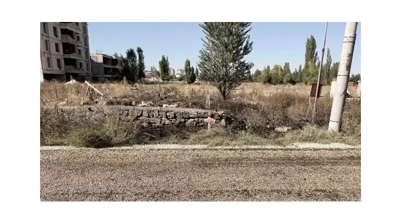 Afyonkarahisar'da Yürek Burkan Kaza: Evinin Önündeki Ot Yangınında Hayatını Kaybetti!