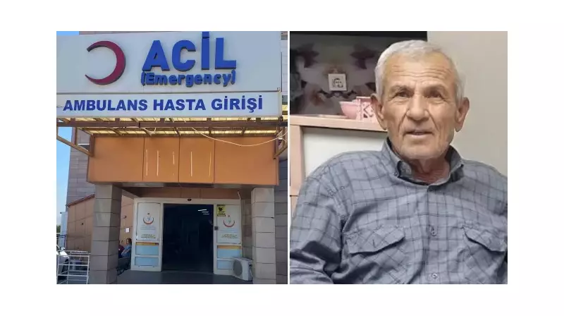 Alaşehir'de Yaşanan Feci Kaza: Bahçede Ağaç Kesmeye Çalışan Adam Hayatını Kaybetti