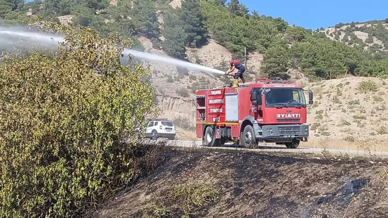 Alevler Üç İlde Hüküm Sürdü: İzmir, Aydın ve Muğla'da Orman Yangınlarıyla Mücadele Tüm Hızıyla Devam Ediyor!