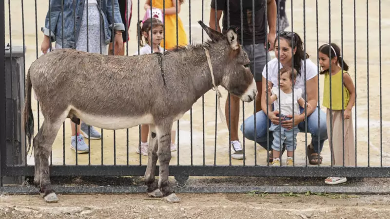 Ankara'nın Kalbinde Yeni Bir Cazibe Merkezi: Başkent Tepesi Ziyarete Açıldı!