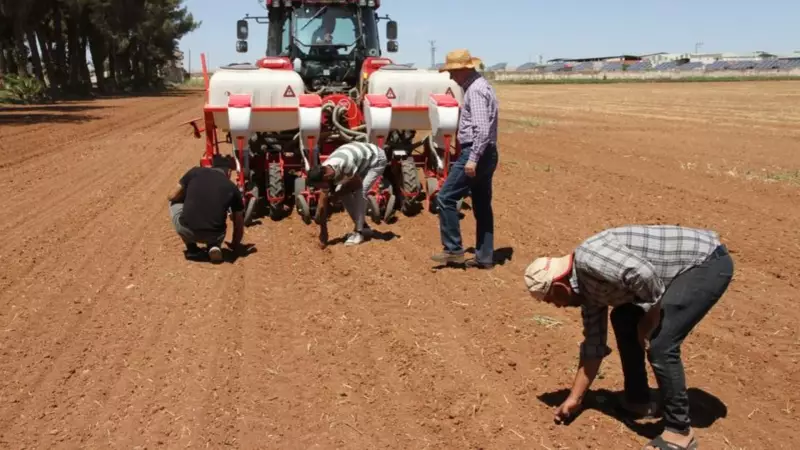 Şanlıurfa'da Anız Yangınları Tarih Oluyor! Çiftçiye Destek ve Eğitim Seferberliği Başlatıldı