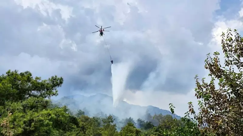 Antalya'da Ciğerleri Dağlayan Orman Yangını! İşte Son Dakika Gelişmeleri