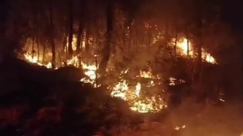 Antalya'nın Ciğerini Yakan Orman Yangınına Seferberlik! Ekipler Gece Gündüz Demeden Mücadele Ediyor
