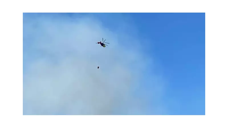 Antalya'yı Saran Alevlere Çok Sayıda Ekip Müdahale Ediyor! Orman Yangını Alarmı