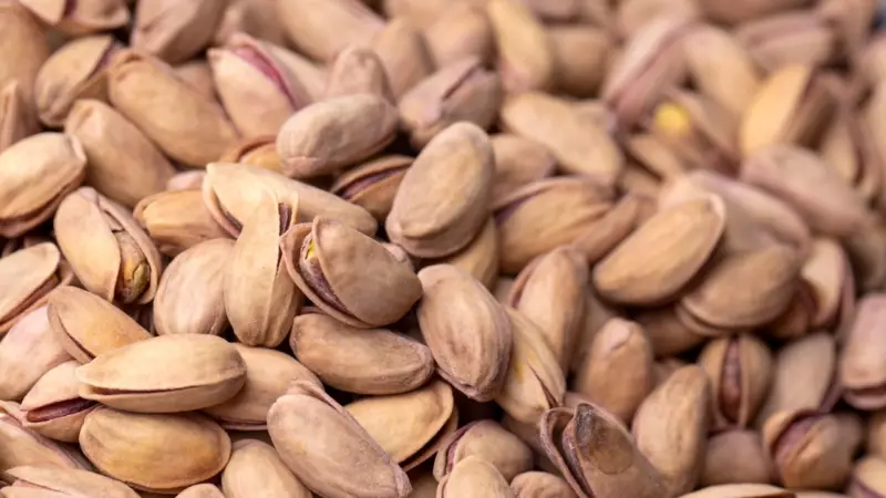 Antep Fıstığı İthalatı Serbest! Stokçular Dışında Herkesin Yüzü Gülecek