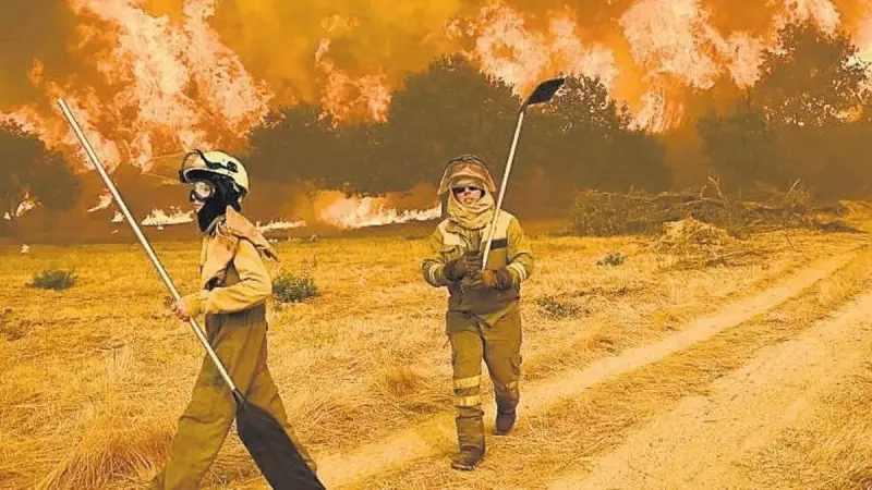 Avrupa'yı Kavuran Aşırı Sıcakların Şok Edici Faturası: 43 Milyar Euro!