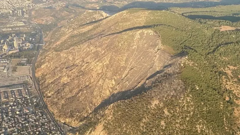 Aydın'da Ciğerleri Yakan Mücadele: 17 Saatin Sonunda Yangına Dur Denildi!