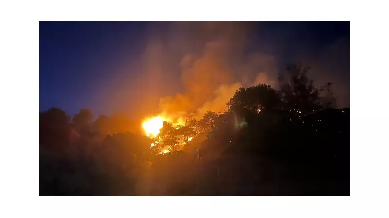 Aydın'da Zeytinlik Yangını: Alevlere Büyük Müdahale, Son Durum Ne?