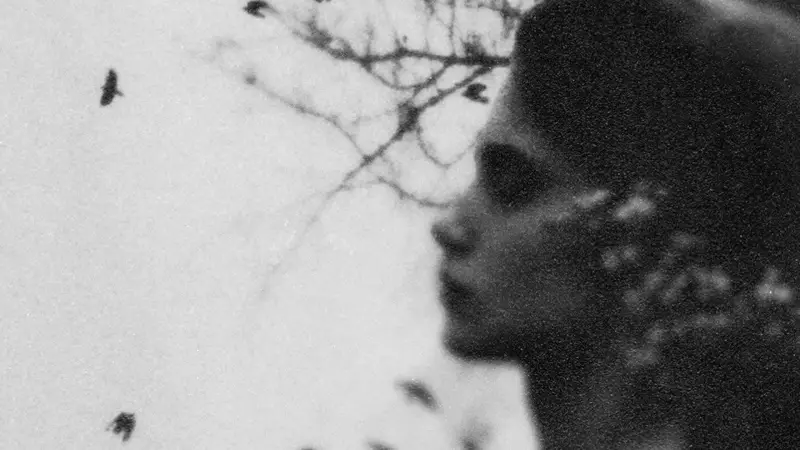 Ayşe Yenel'den Sanat Dünyasını Sarsacak Yeni Sergi: 'Zarif Bir Kaos' | İşte Detaylar!