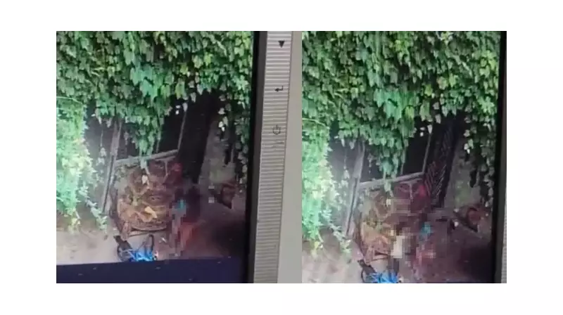 Bahçede Yaşanan Salıncak Faciası: 3 Yaşındaki Çocuk Hayatını Kaybetti