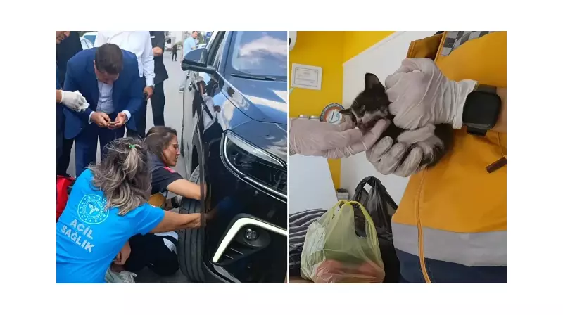 Bakan Tunc'un Konvoyunda Kedi Şoku! 112 Ekipleri Sevimli Yolcu İçin Seferber Oldu