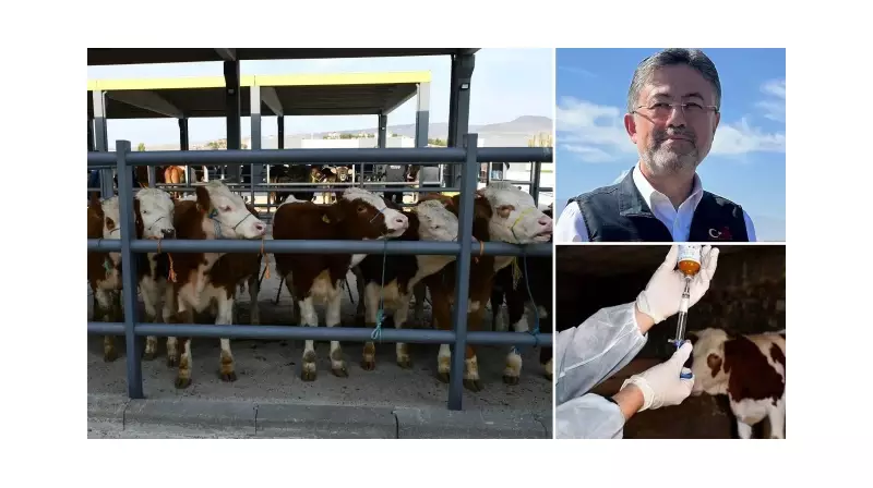 Bakan Yumaklı'dan Çarpıcı Açıklama: Hayvan Pazarlarında Dev Hamle! 38 İlde Canlı Ticaret Başladı
