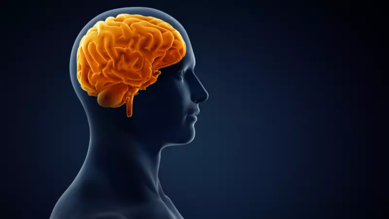 Beyin Gücünü Artırmanın Sırrı: Her Gün Sadece Birkaç Dakika Yeterli!